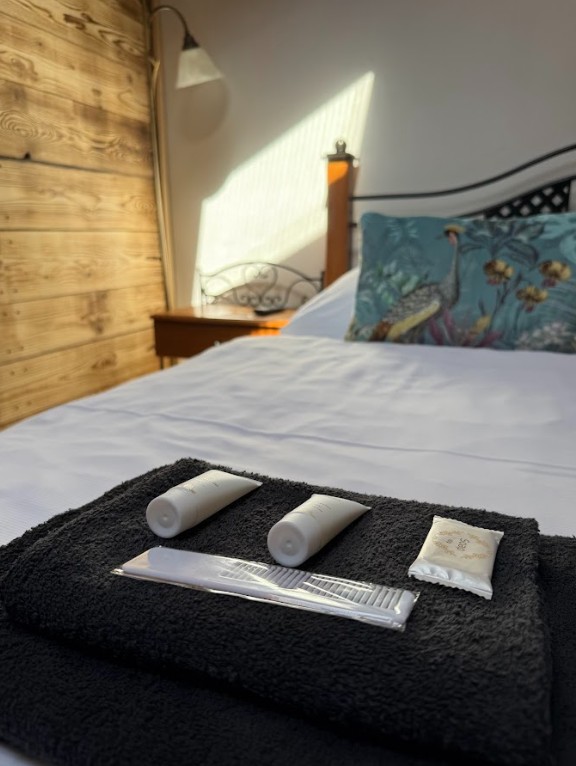 DeLuxe Apartmán č. 3 - Detail 4